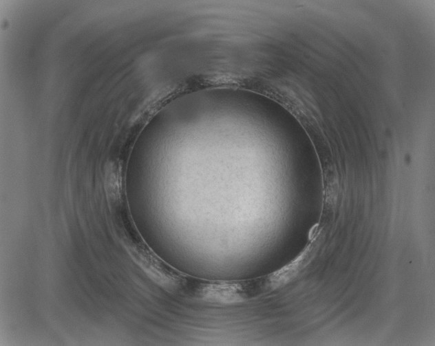 X0000083610179200702201259