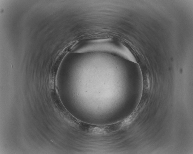 X0000083610180200702201259