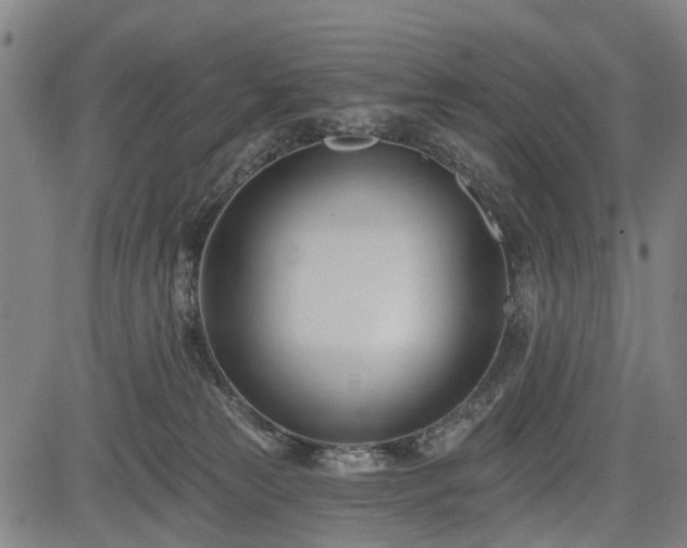 X0000083610181200702201259