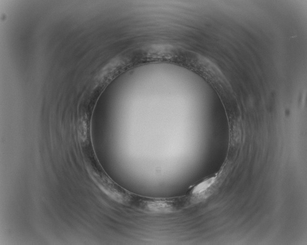 X0000083610183200702201259