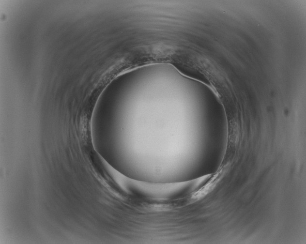 X0000083610184200702201259