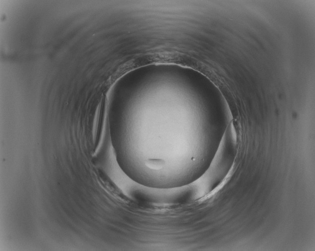 X0000083610186200702201259