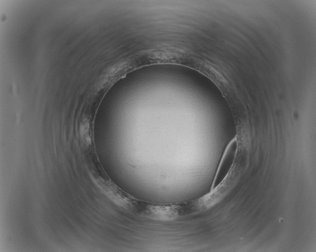 X0000083610187200702201259