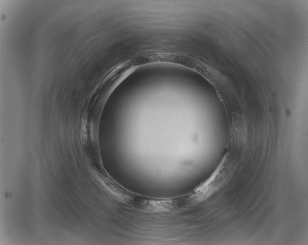 X0000083610188200702201259