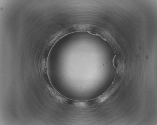 X0000083610189200702201259