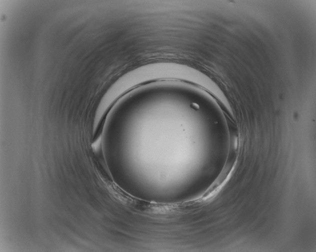 X0000083610190200702201259