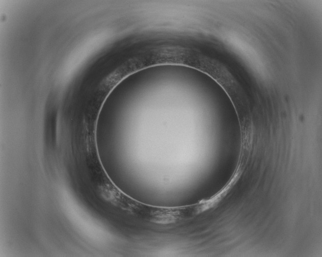 X0000083610191200702201259