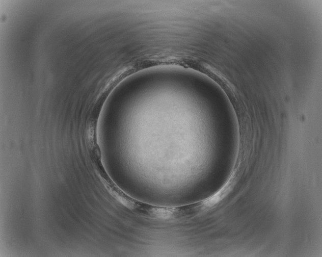 X0000083610192200702201259