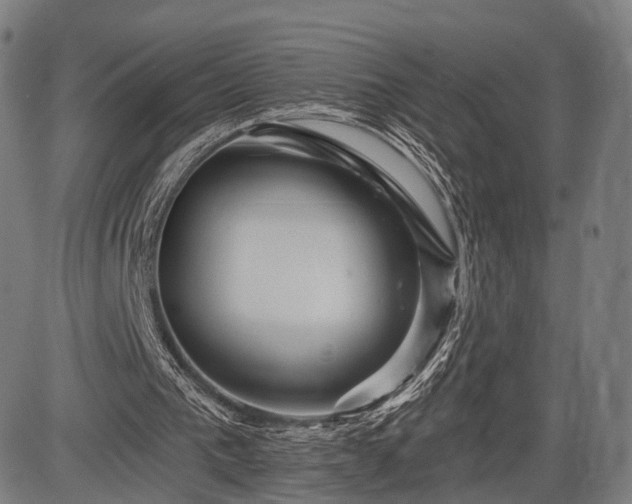 X0000083610193200702201259