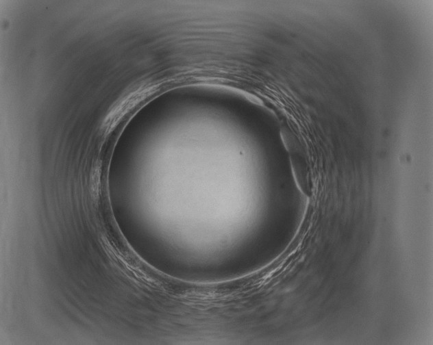 X0000083610194200702201259