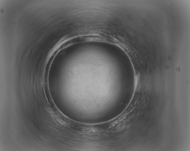 X0000083610195200702201259