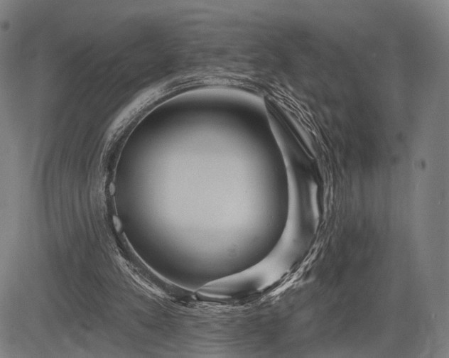 X0000083610197200702201259