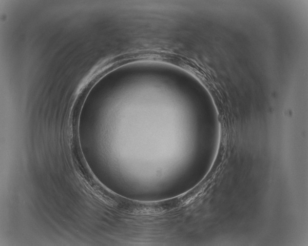 X0000083610198200702201259