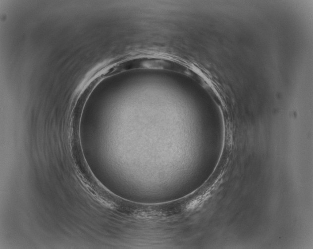 X0000083610199200702201259