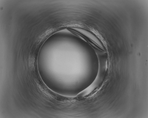 X0000083610201200702201259