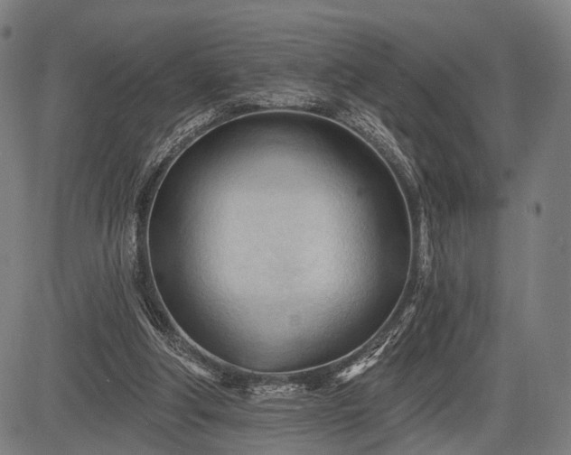 X0000083610202200702201258