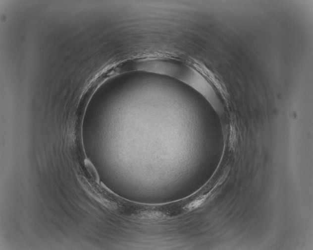 X0000083610203200702201258