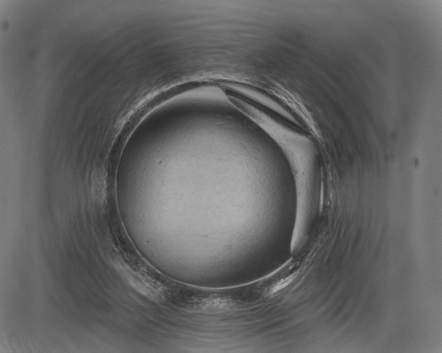 X0000083610204200702201258