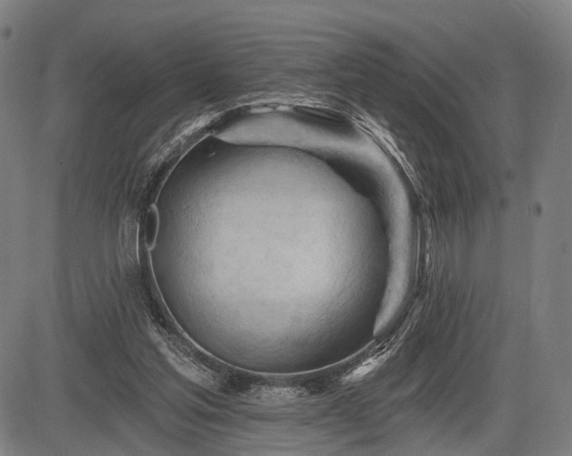 X0000083610205200702201258