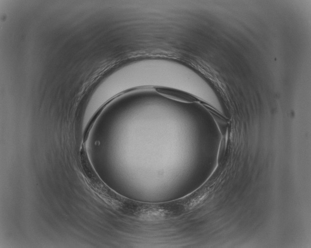 X0000083610206200702201258