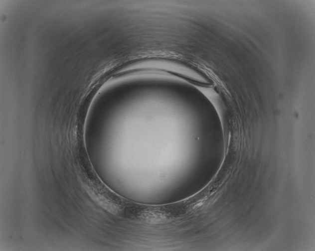 X0000083610207200702201258