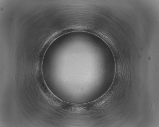 X0000083610208200702201258