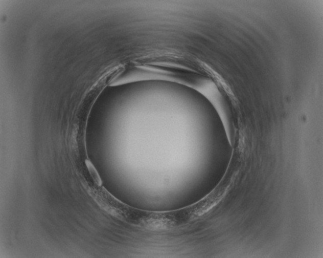 X0000083610209200702201258