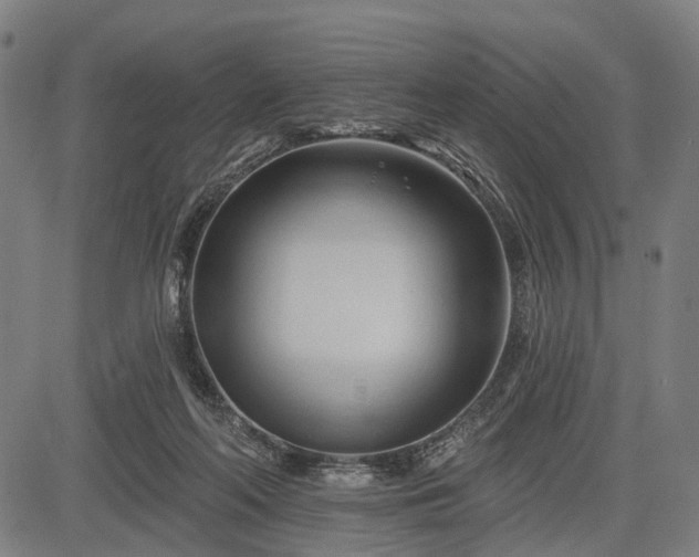 X0000083610214200702201258