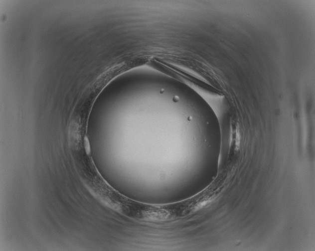 X0000083610215200702201258