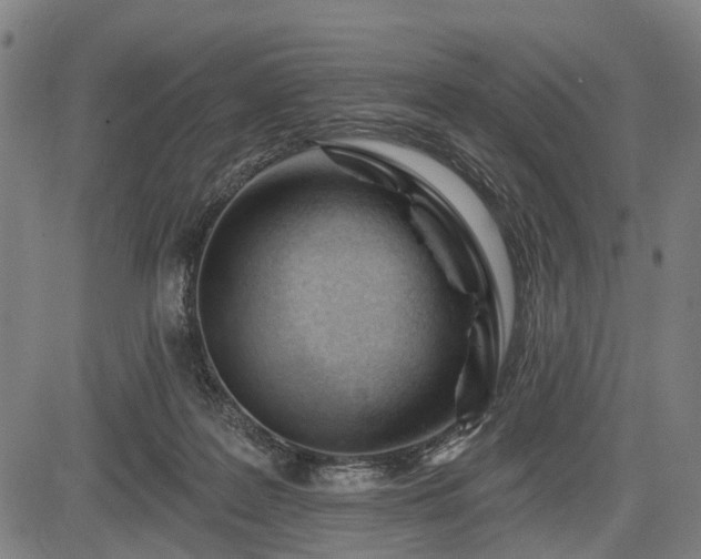 X0000083610219200702201258