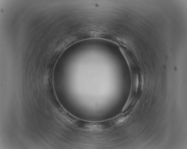 X0000083610221200702201258