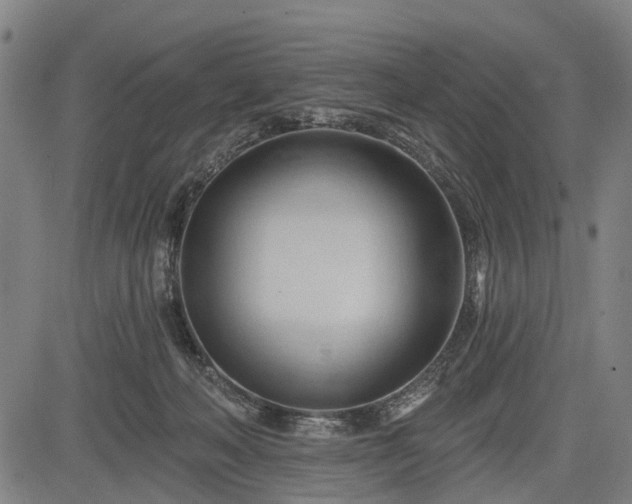 X0000083610222200702201258