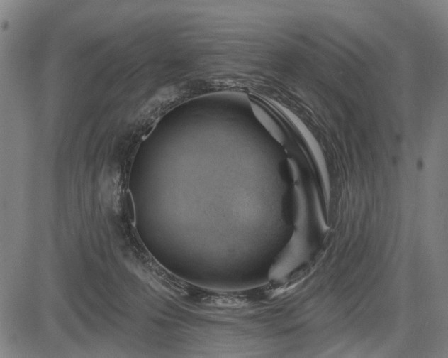 X0000083610223200702201258