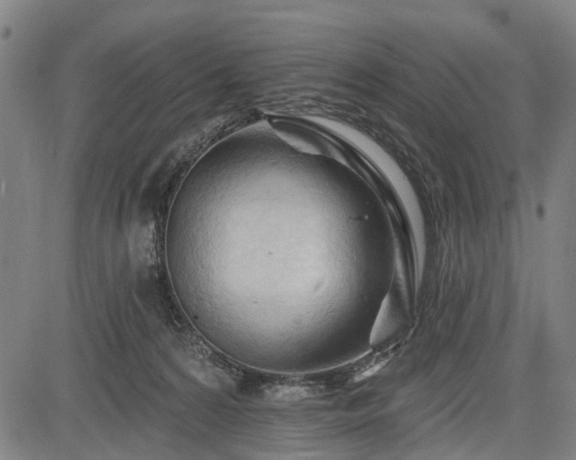 X0000083610224200702201258