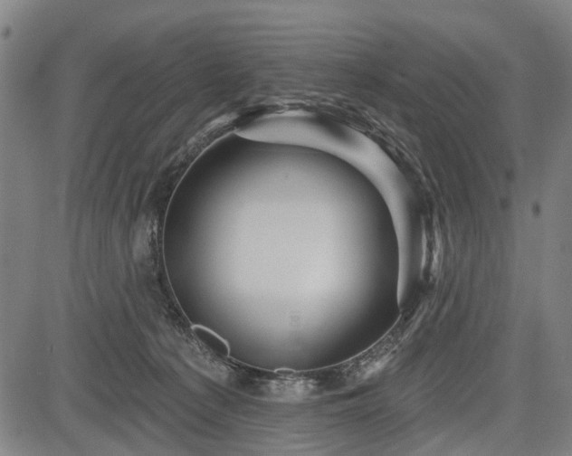 X0000083610225200702201258