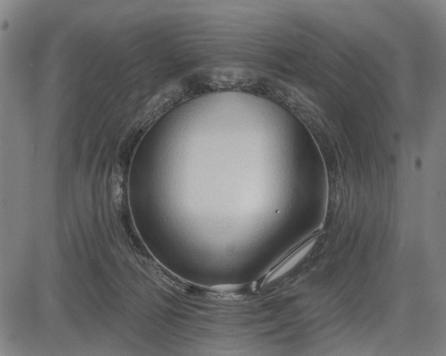 X0000083610226200702201258