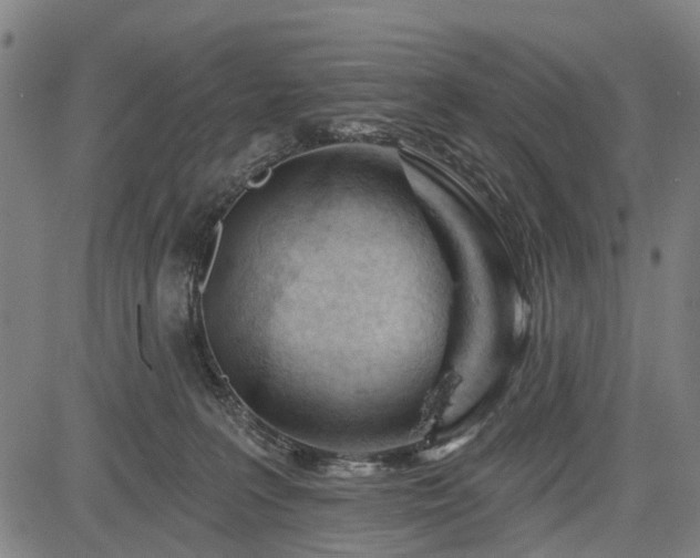 X0000083610227200702201258