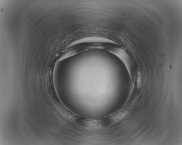 X0000083610229200702201258