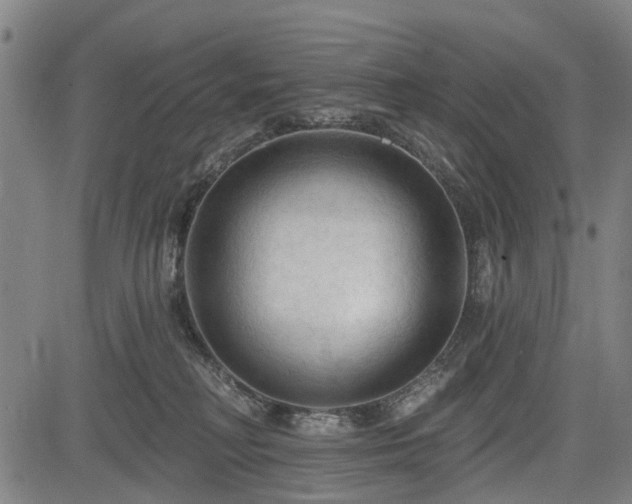 X0000083610230200702201258