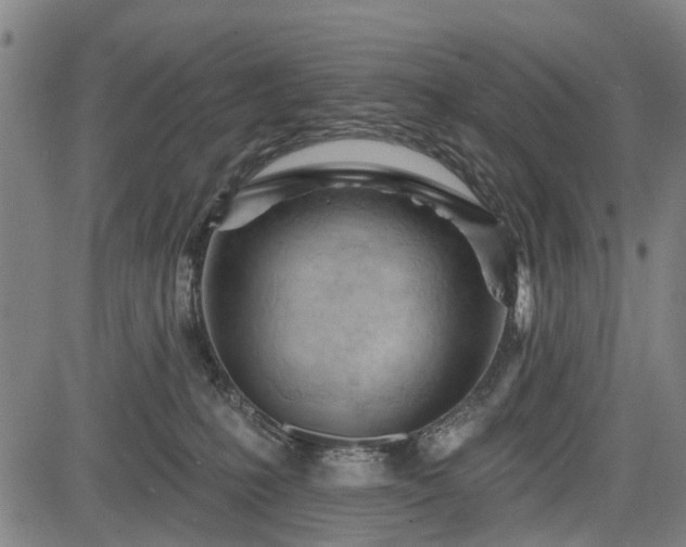 X0000083610231200702201258