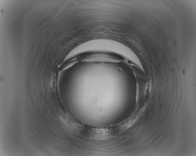 X0000083610233200702201258