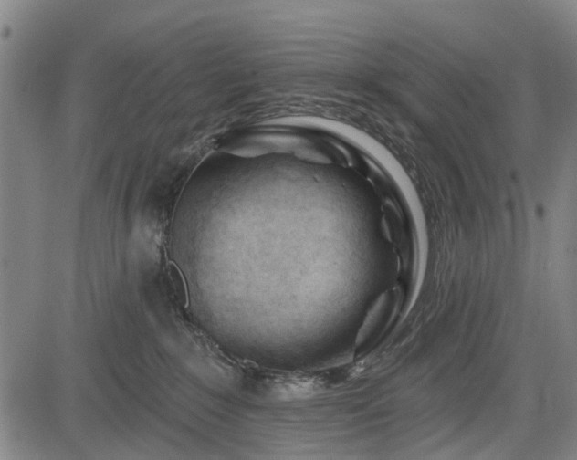 X0000083610235200702201258