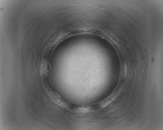 X0000083610236200702201258