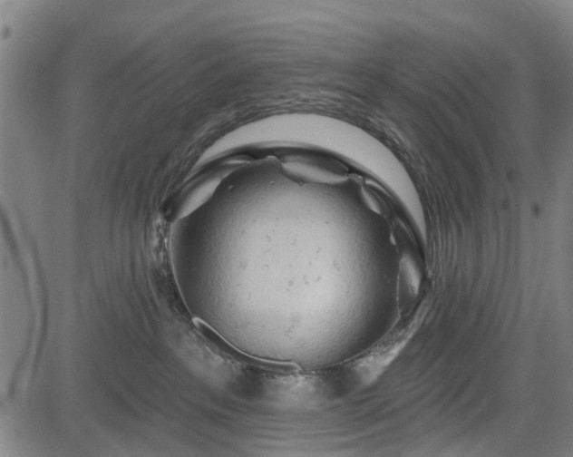 X0000083610237200702201258