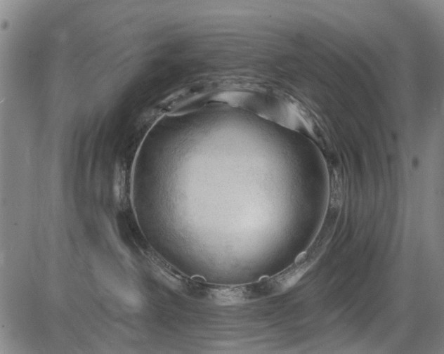 X0000083610238200702201258