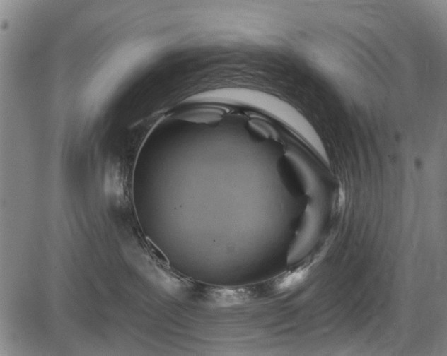 X0000083610239200702201258