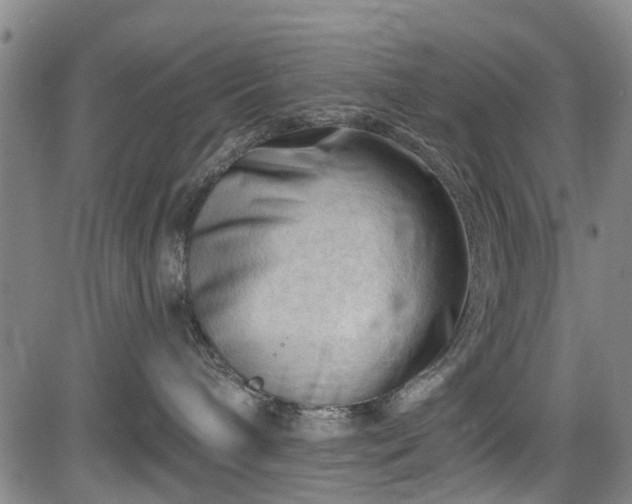 X0000083610240200702201258