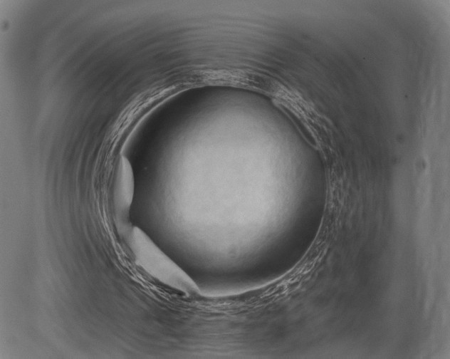 X0000083610241200702201257