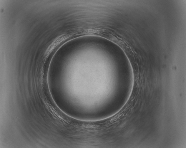 X0000083610242200702201257