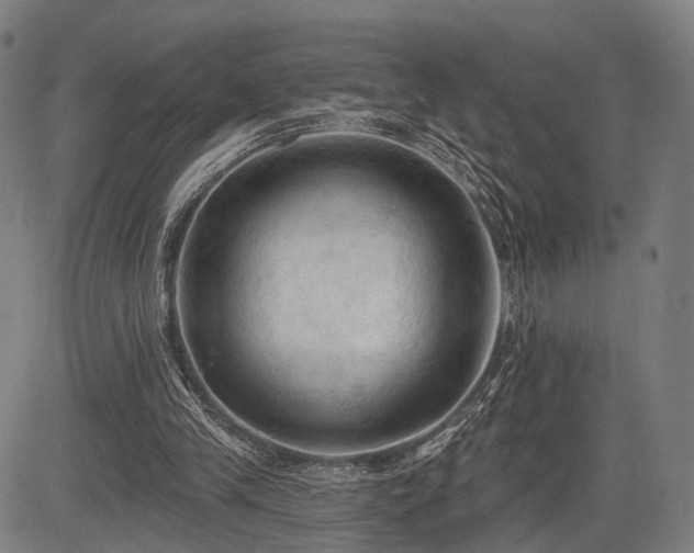 X0000083610245200702201257